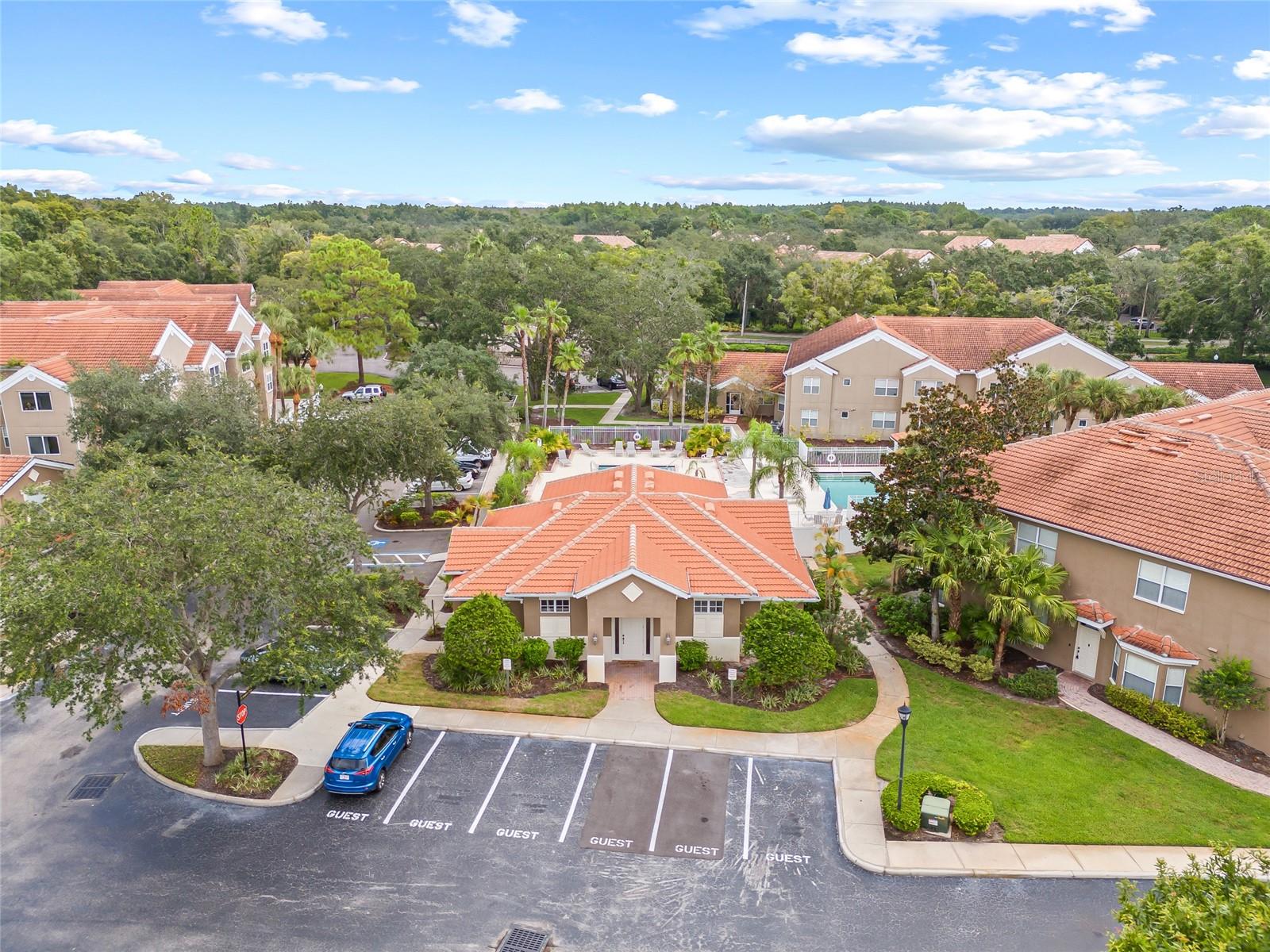 15215 AMBERLY DR #1002, TAMPA, FL, 33647