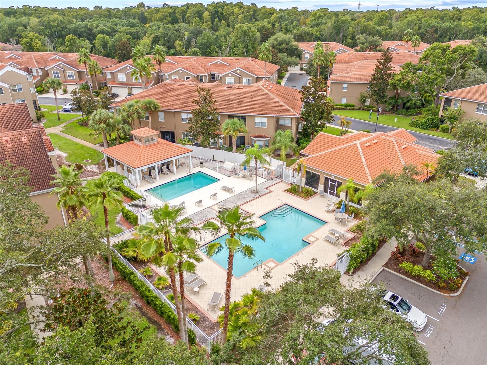 15215 AMBERLY DR #1002, TAMPA, FL, 33647