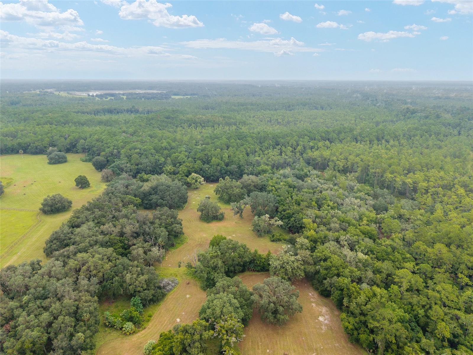 NE 127TH, FORT MC COY, FL, 32134