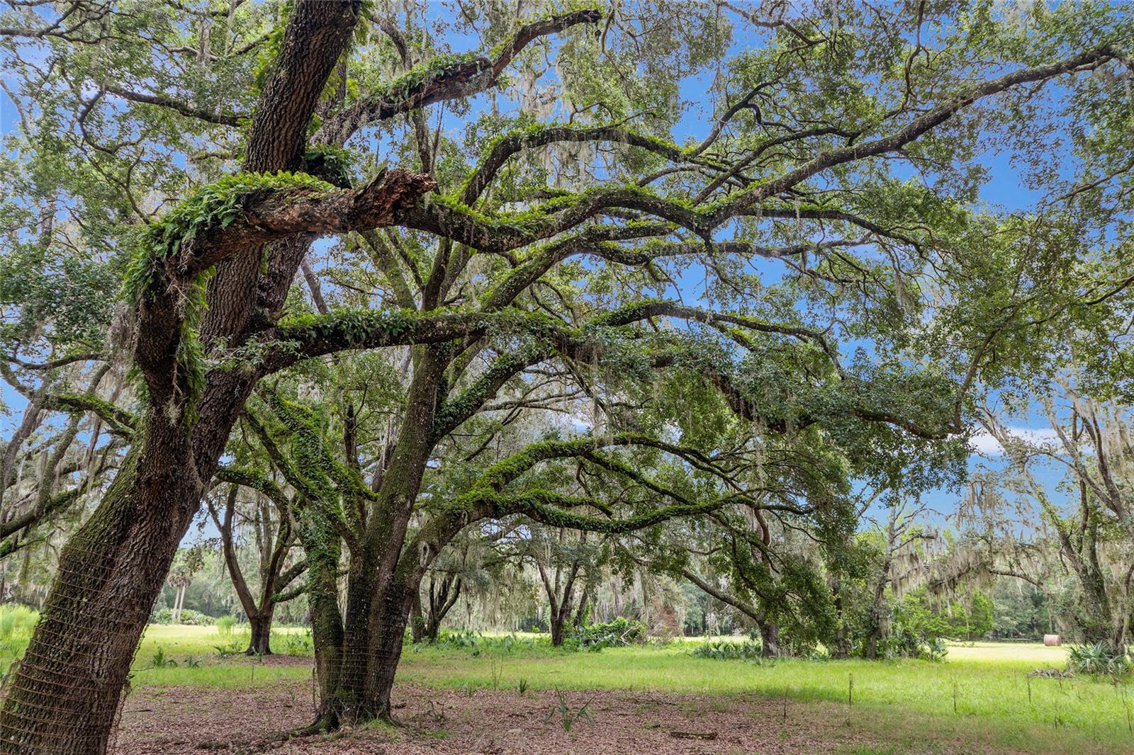 NE 127TH, FORT MC COY, FL, 32134