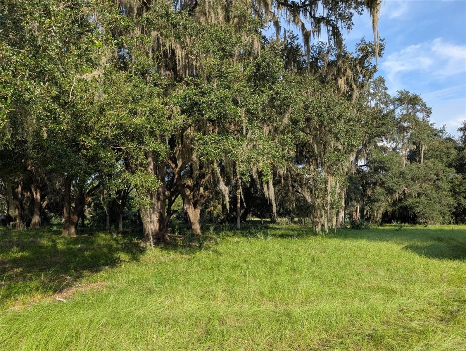 NE 127TH, FORT MC COY, FL, 32134