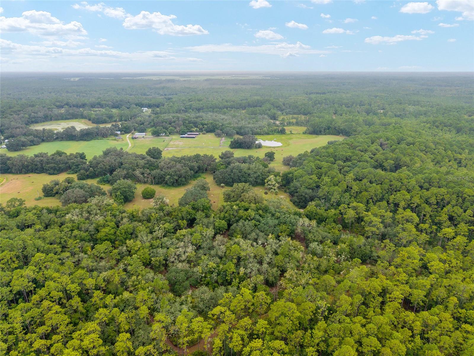 NE 127TH, FORT MC COY, FL, 32134