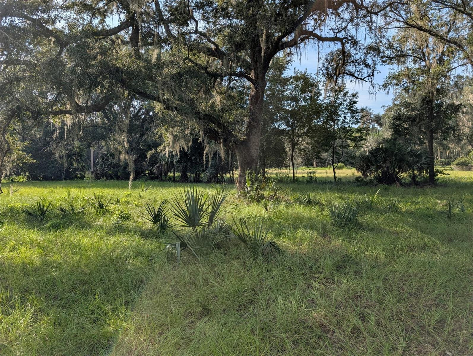 NE 127TH, FORT MC COY, FL, 32134