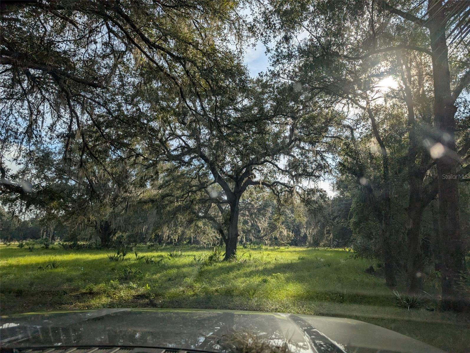 NE 127TH, FORT MC COY, FL, 32134