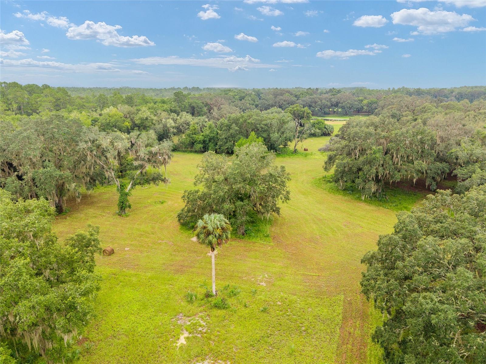 NE 127TH, FORT MC COY, FL, 32134