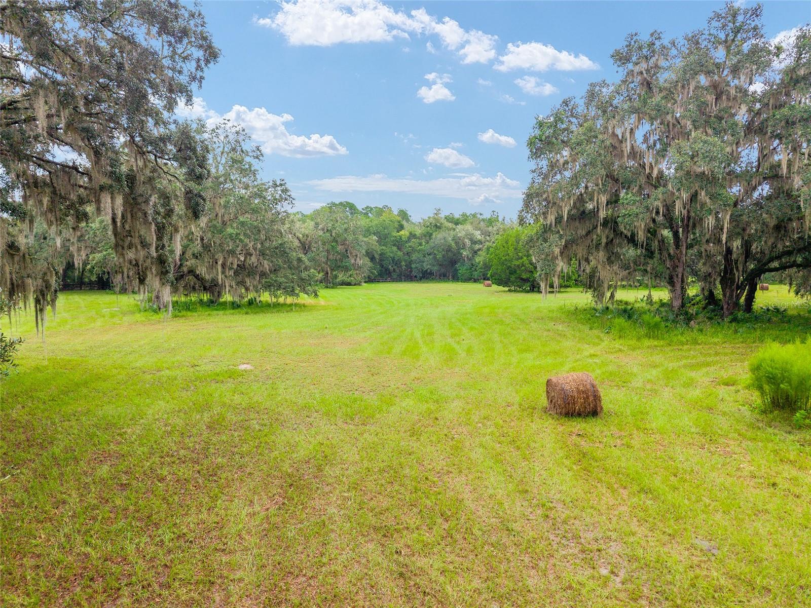 NE 127TH, FORT MC COY, FL, 32134