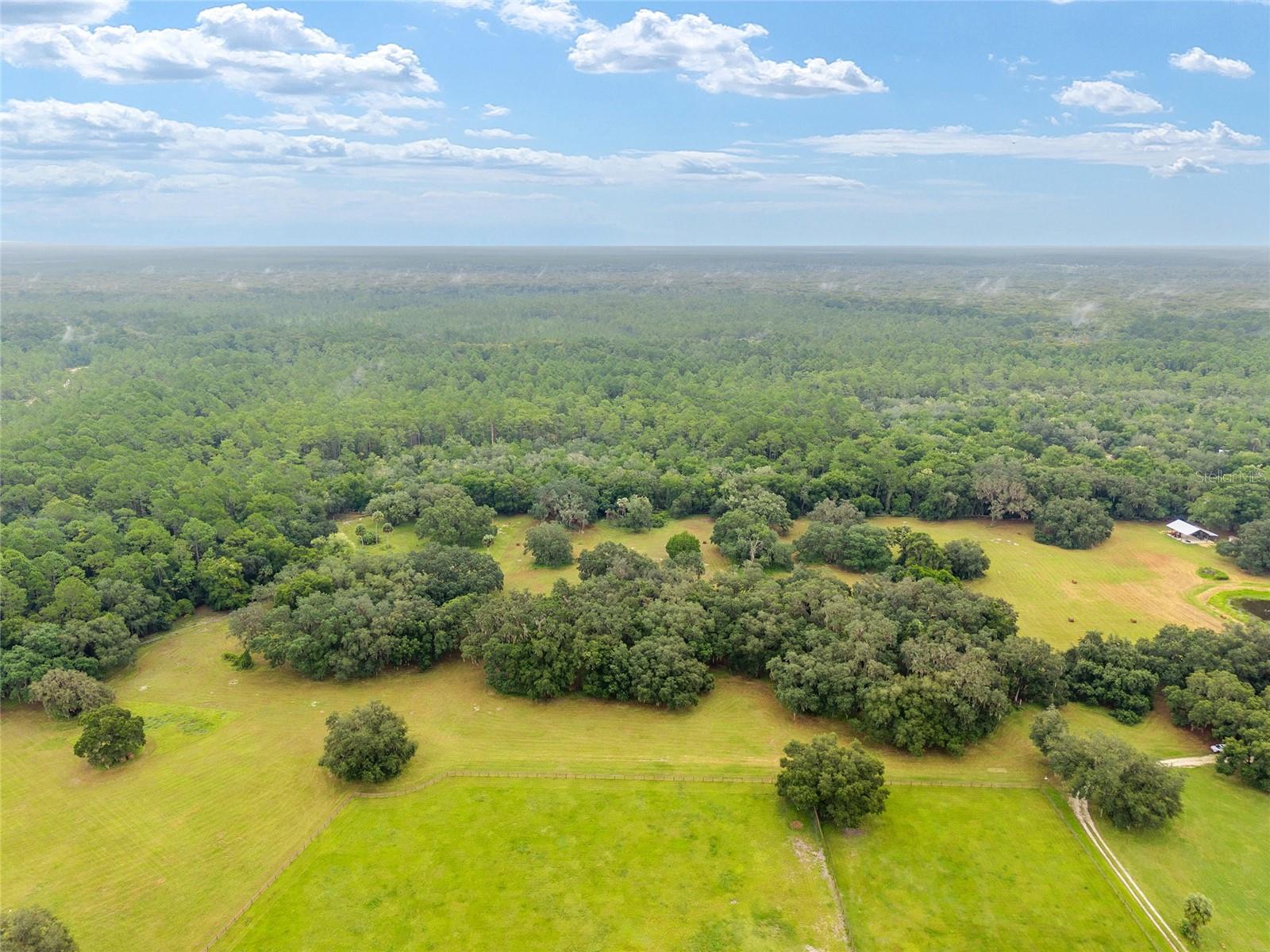 NE 127TH, FORT MC COY, FL, 32134