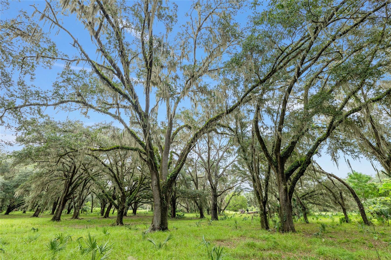 NE 127TH, FORT MC COY, FL, 32134