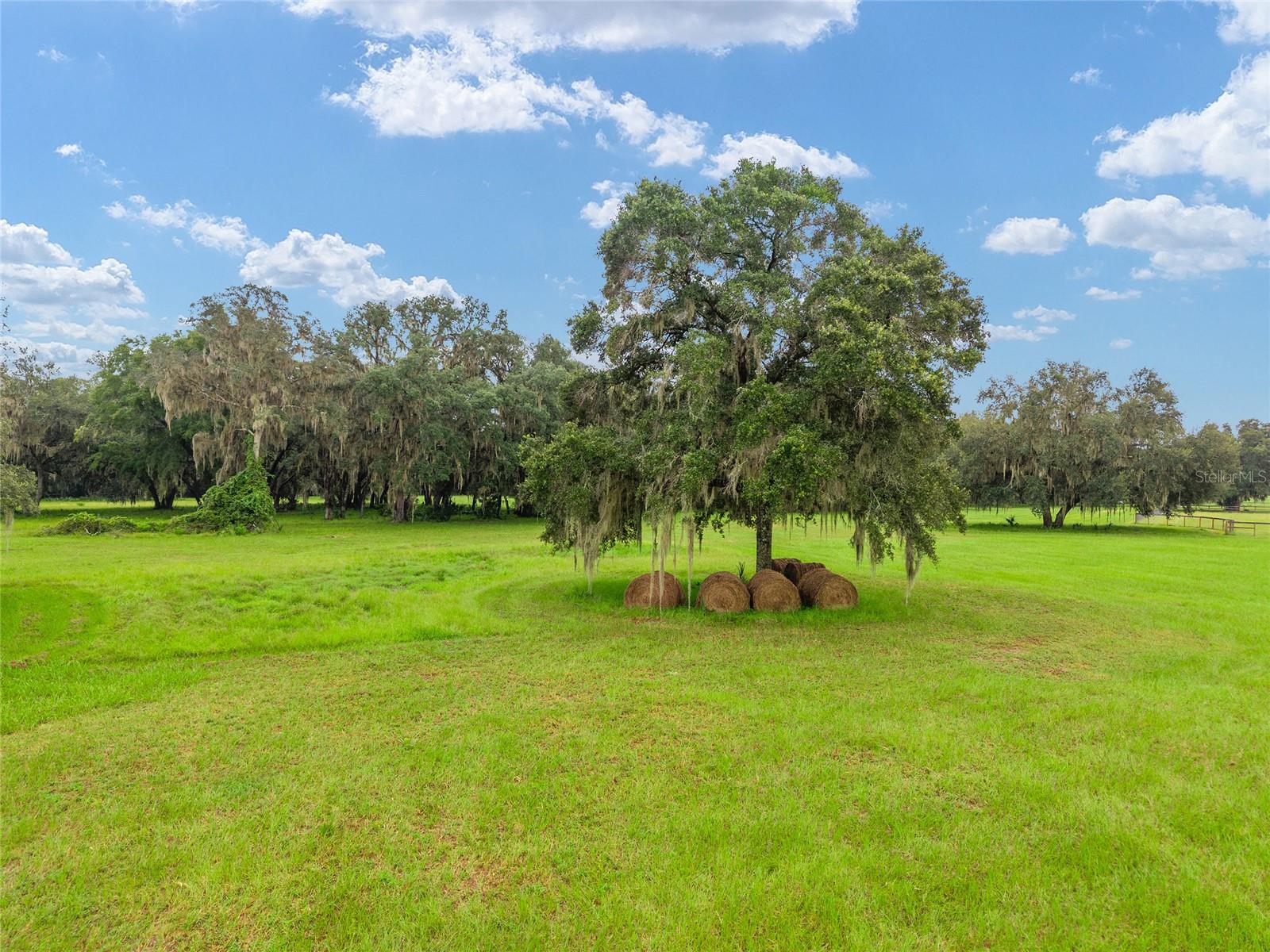 NE 127TH, FORT MC COY, FL, 32134