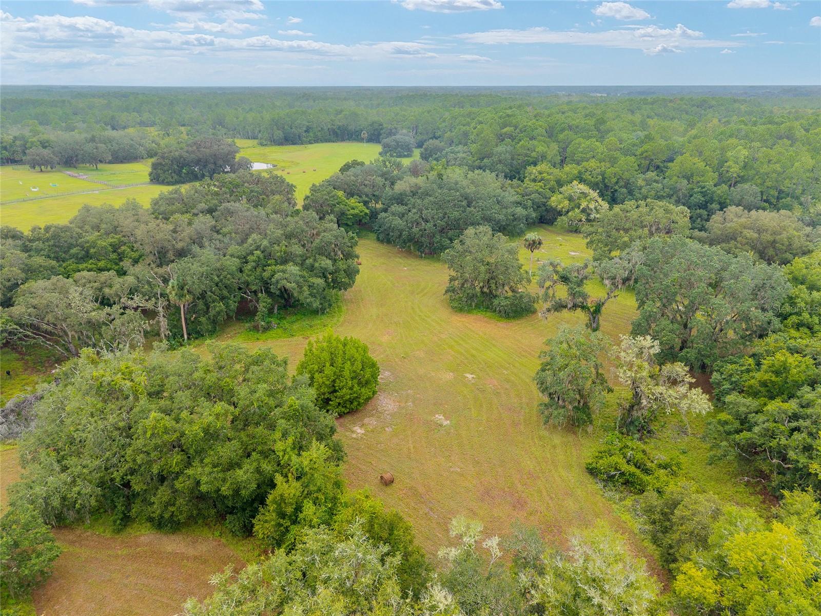 NE 127TH, FORT MC COY, FL, 32134