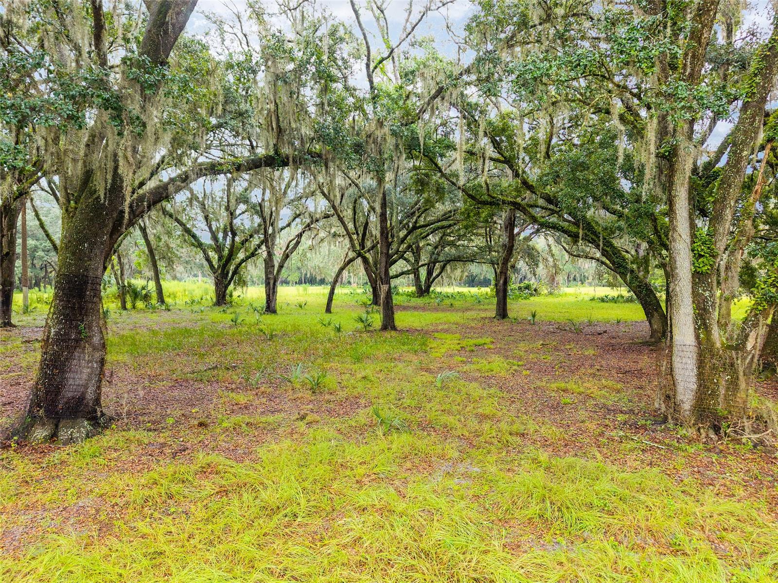 NE 127TH, FORT MC COY, FL, 32134