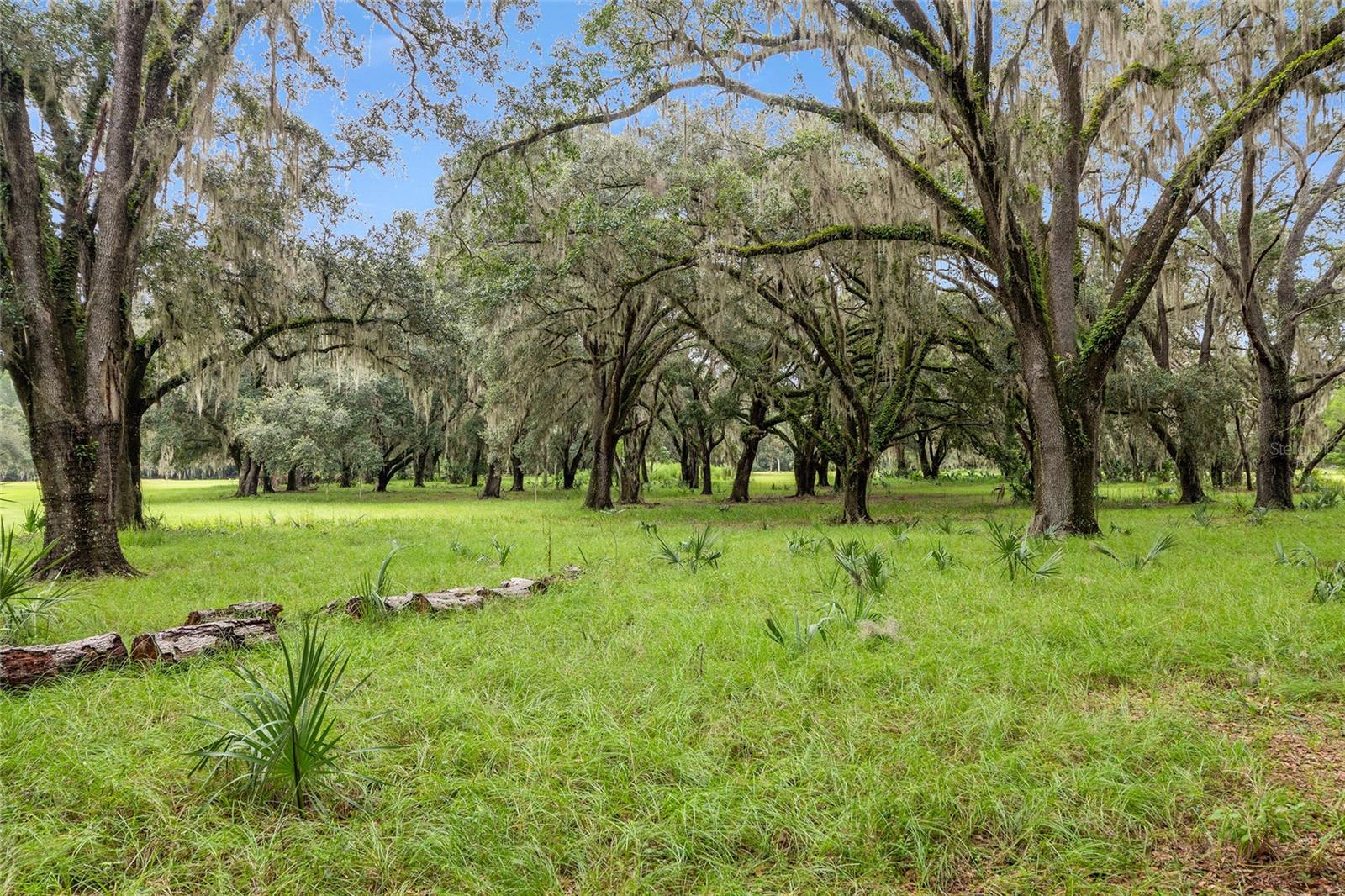 NE 127TH, FORT MC COY, FL, 32134