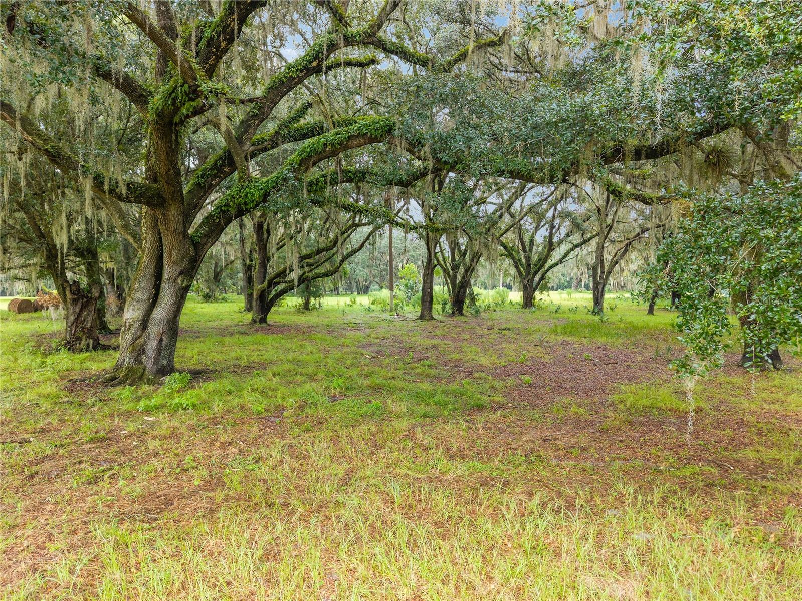 NE 127TH, FORT MC COY, FL, 32134