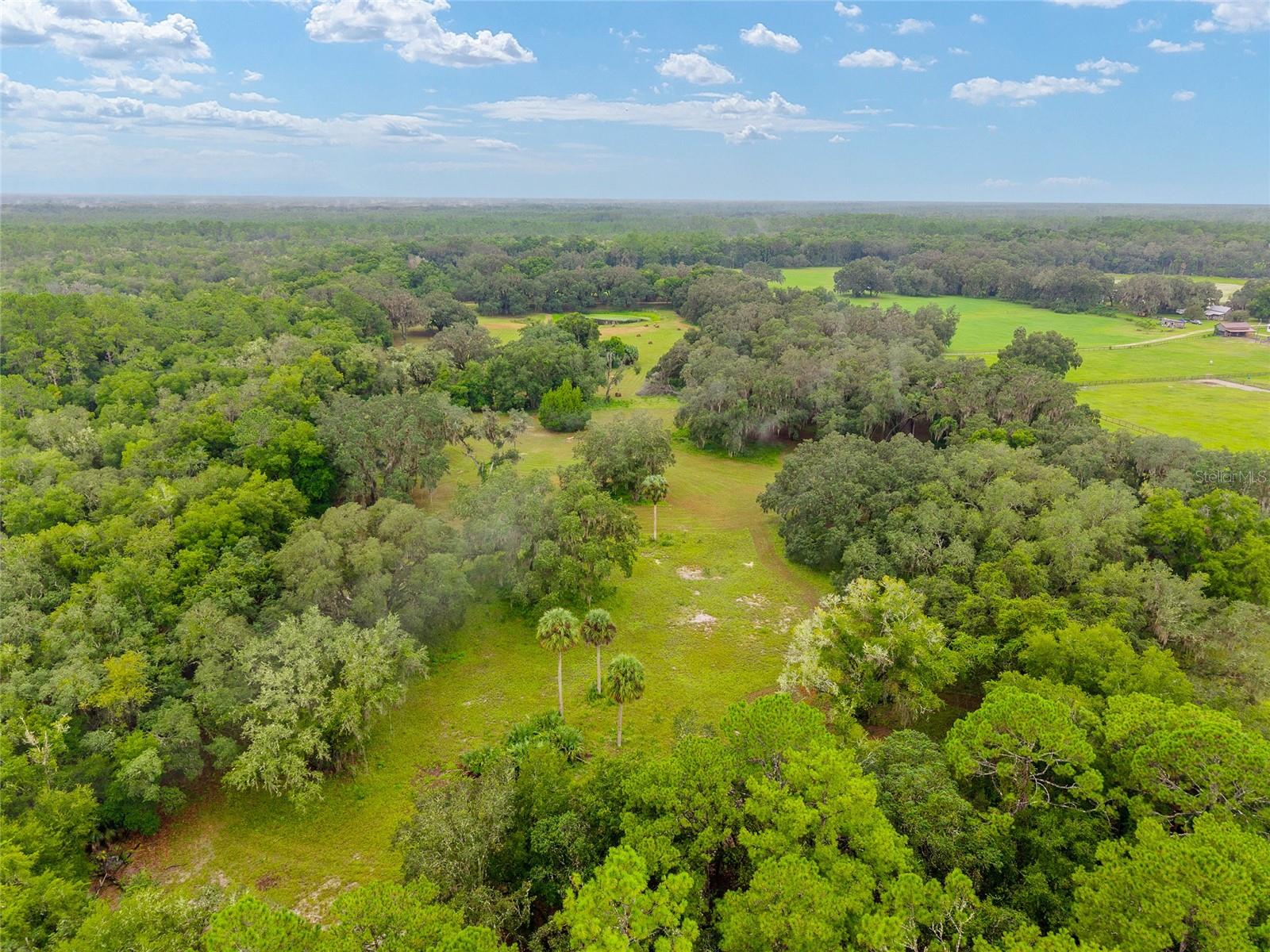 NE 127TH, FORT MC COY, FL, 32134