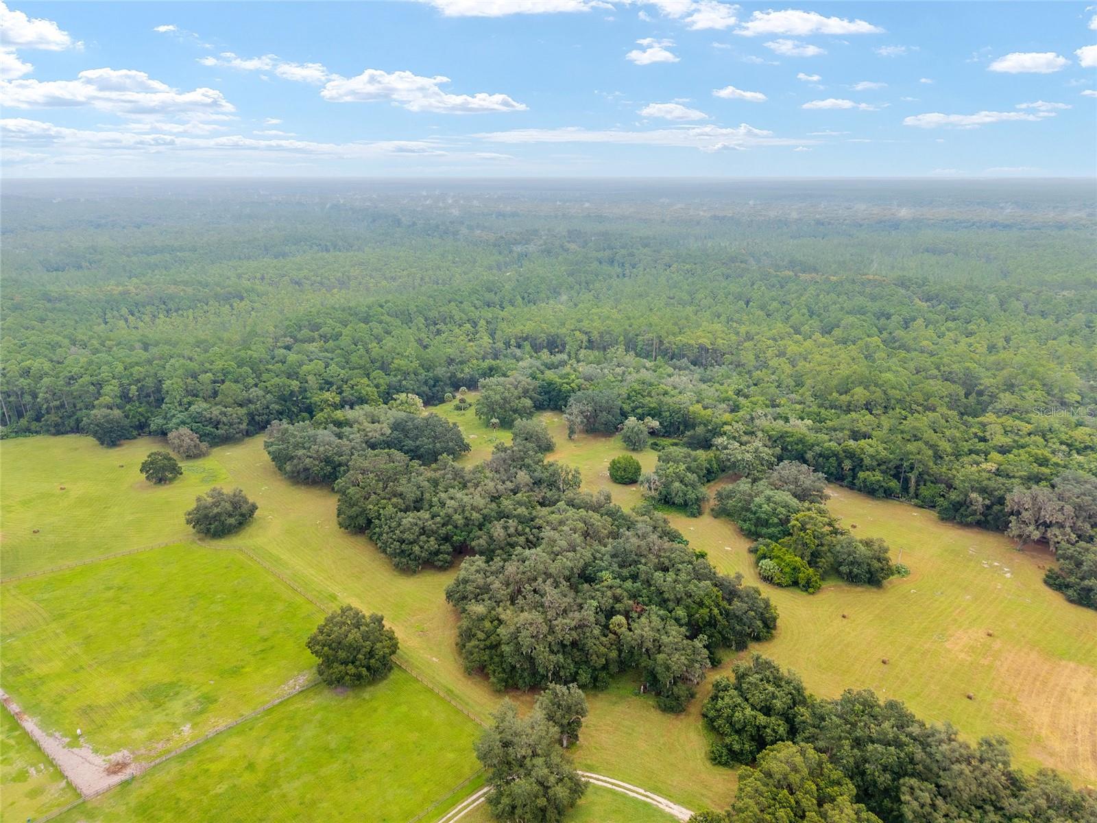 NE 127TH, FORT MC COY, FL, 32134