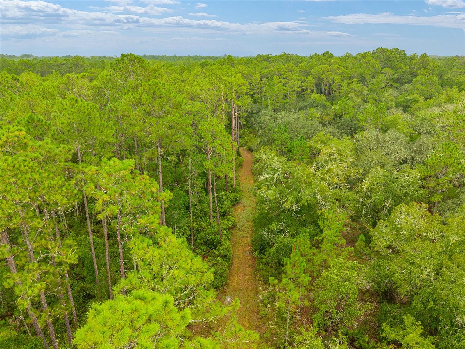 NE 127TH, FORT MC COY, FL, 32134