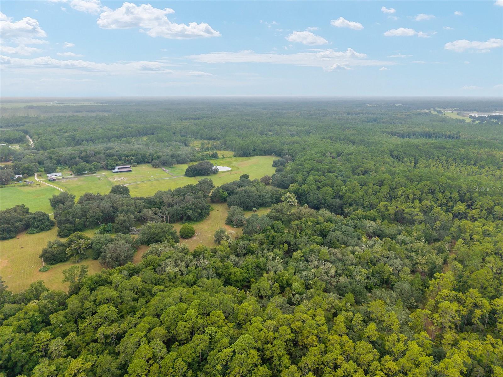 NE 127TH, FORT MC COY, FL, 32134