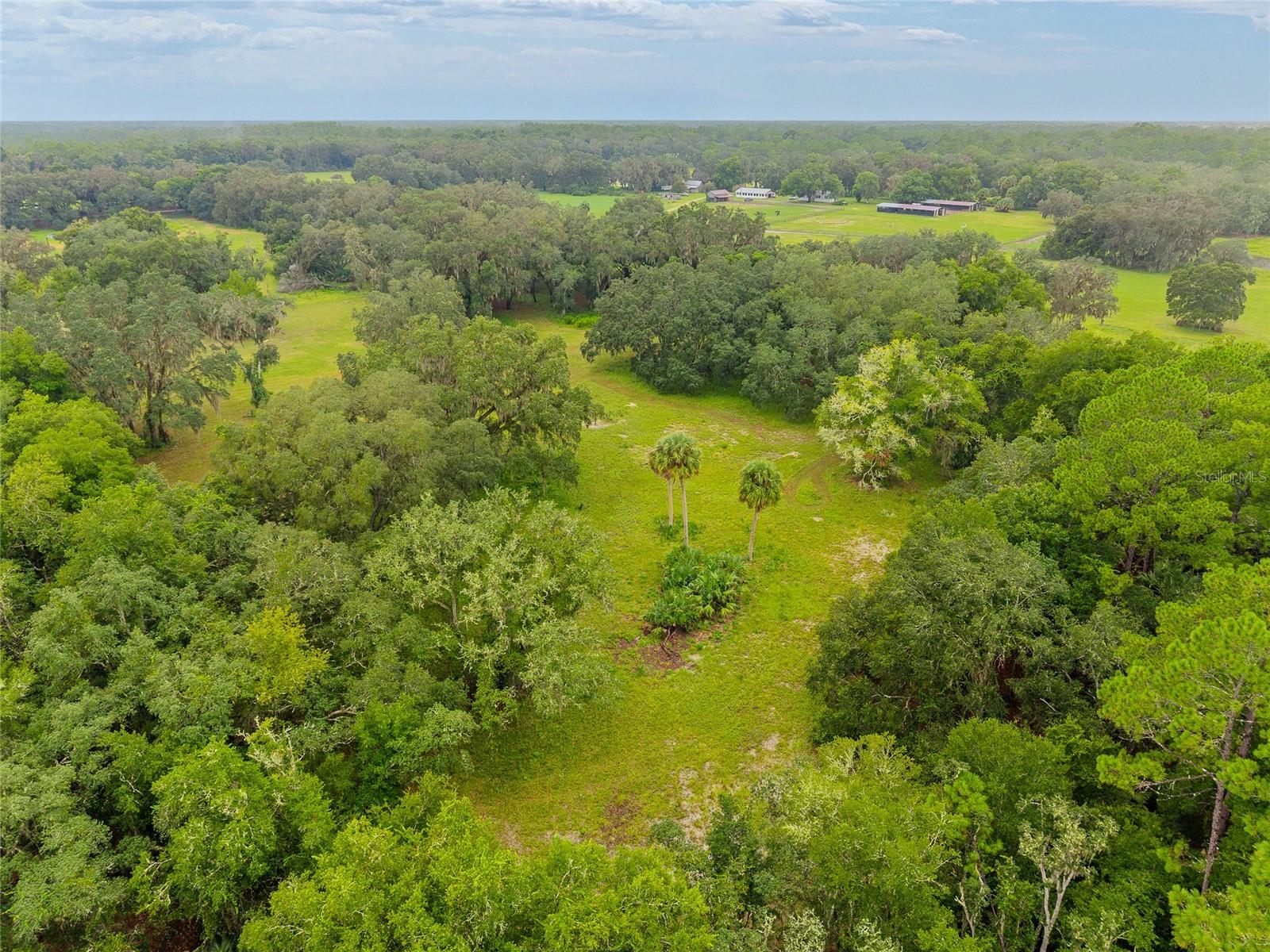 NE 127TH, FORT MC COY, FL, 32134