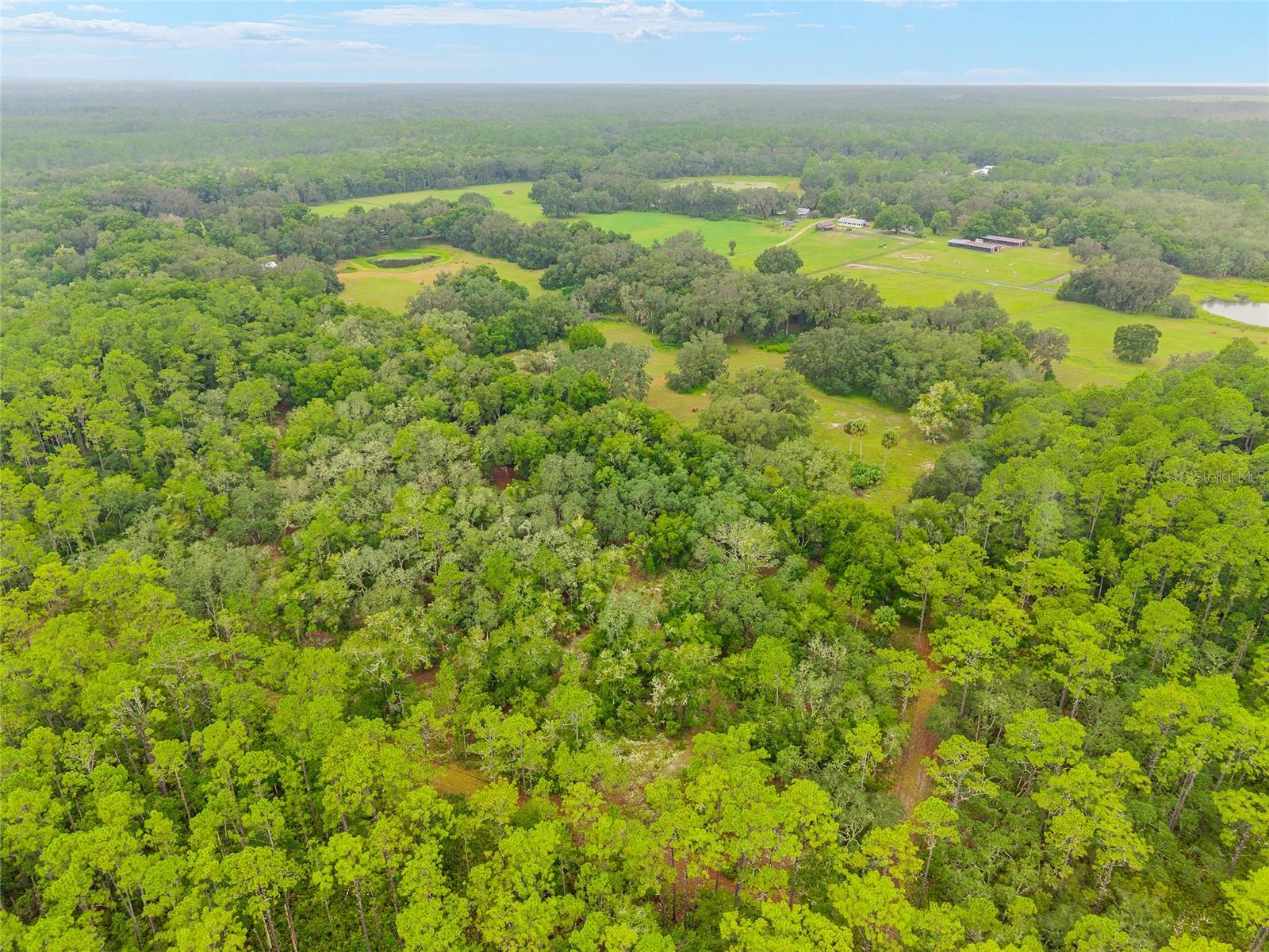 NE 127TH, FORT MC COY, FL, 32134