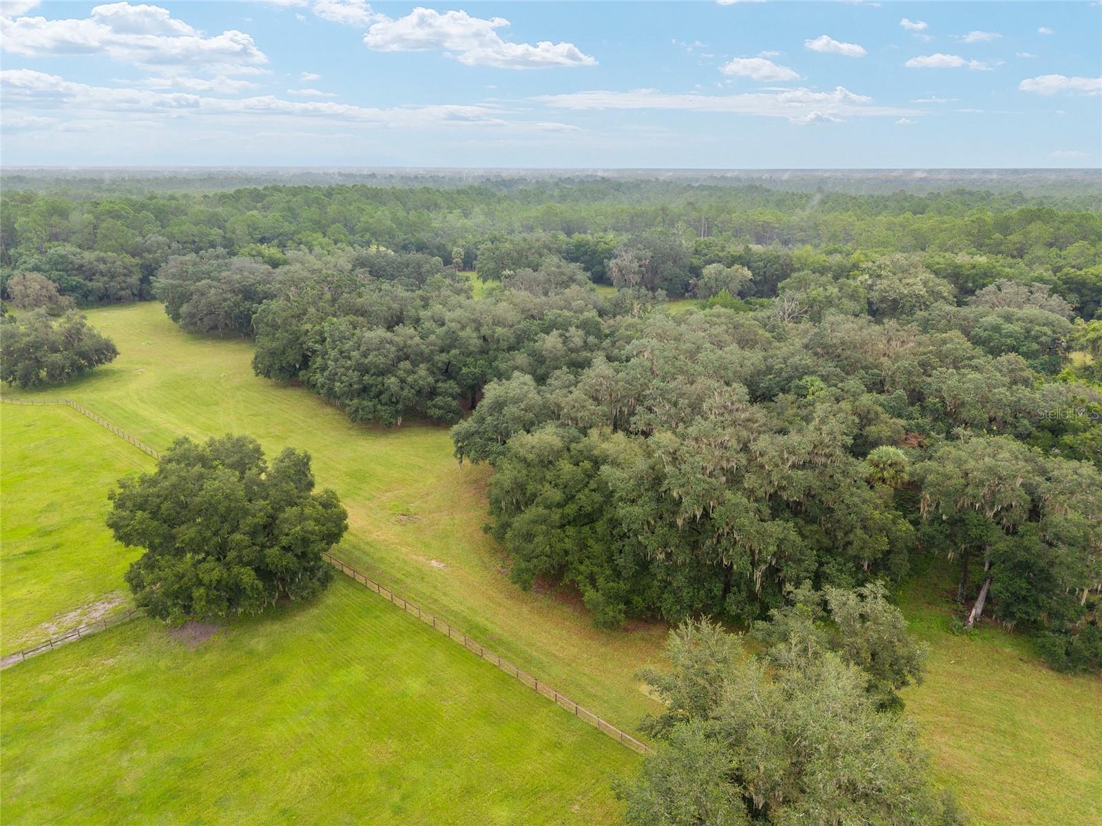 NE 127TH, FORT MC COY, FL, 32134