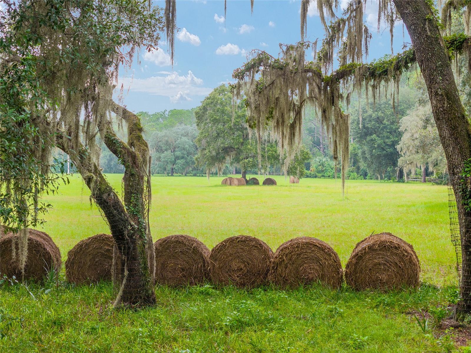 NE 127TH, FORT MC COY, FL, 32134