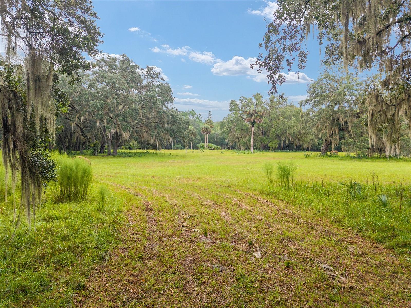 NE 127TH, FORT MC COY, FL, 32134