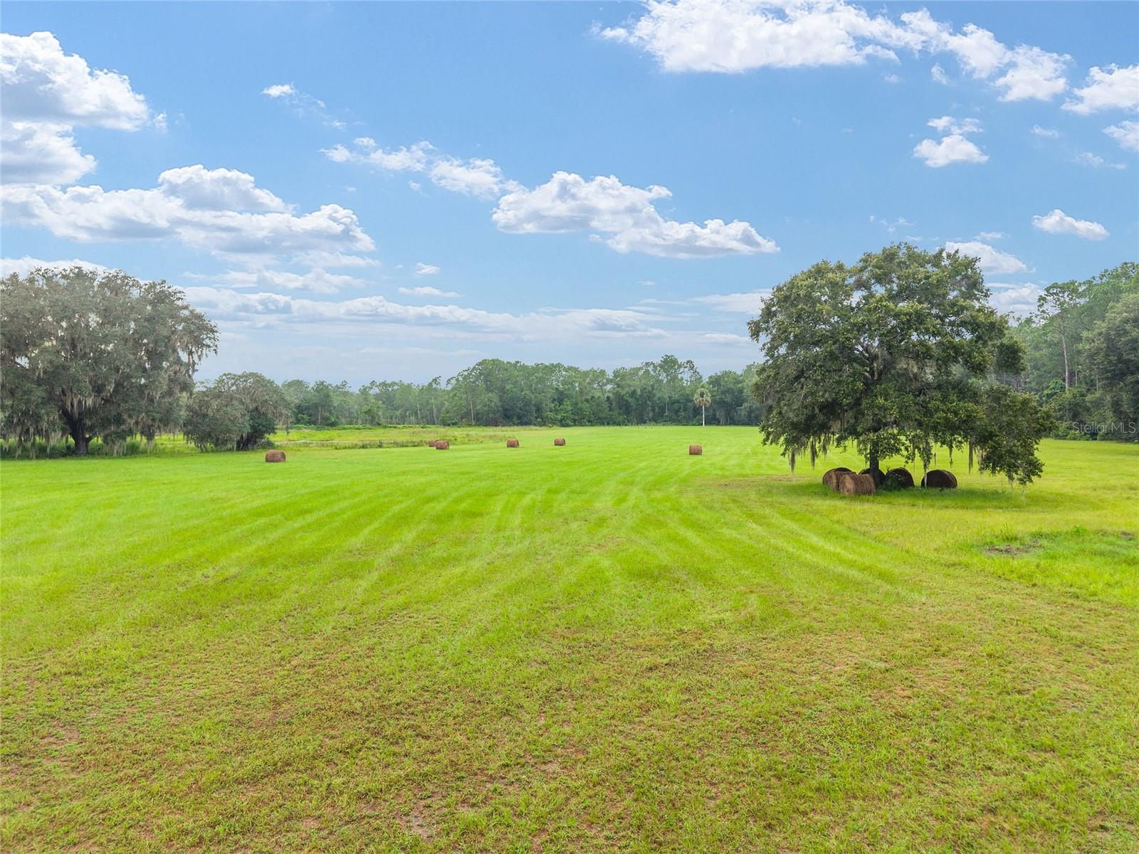 NE 127TH, FORT MC COY, FL, 32134