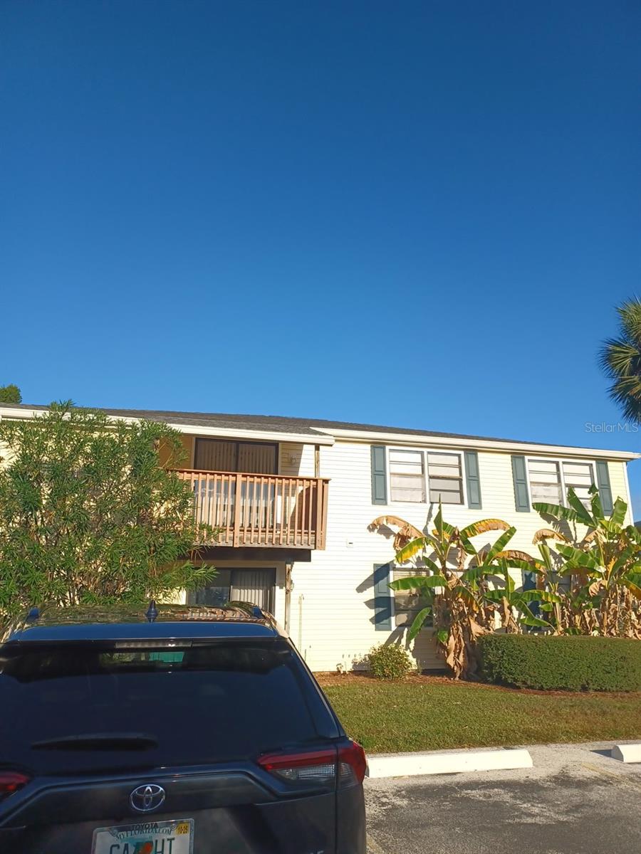 127 CAMPHOR CIR #D, OLDSMAR, FL, 34677