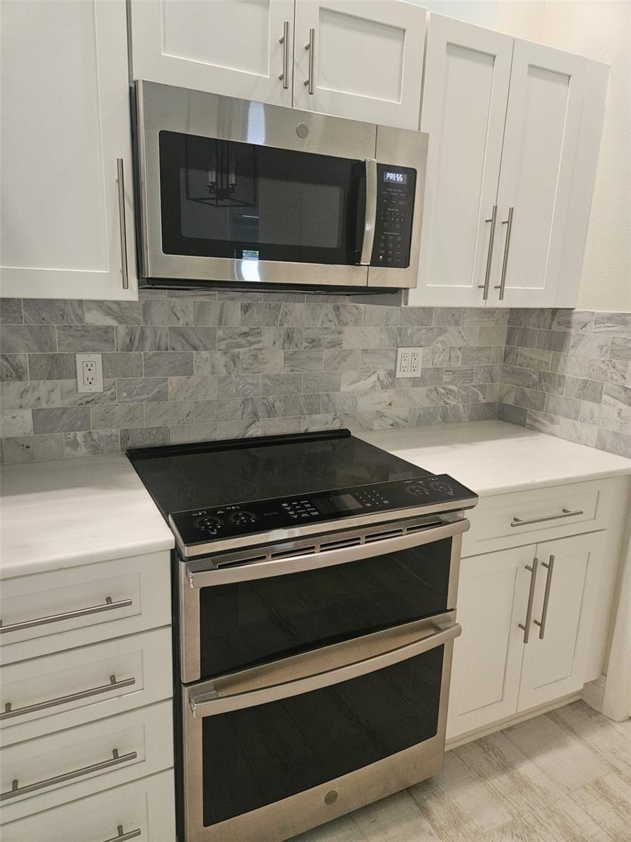 1481 HEATHER RIDGE BLVD, DUNEDIN, FL, 34698