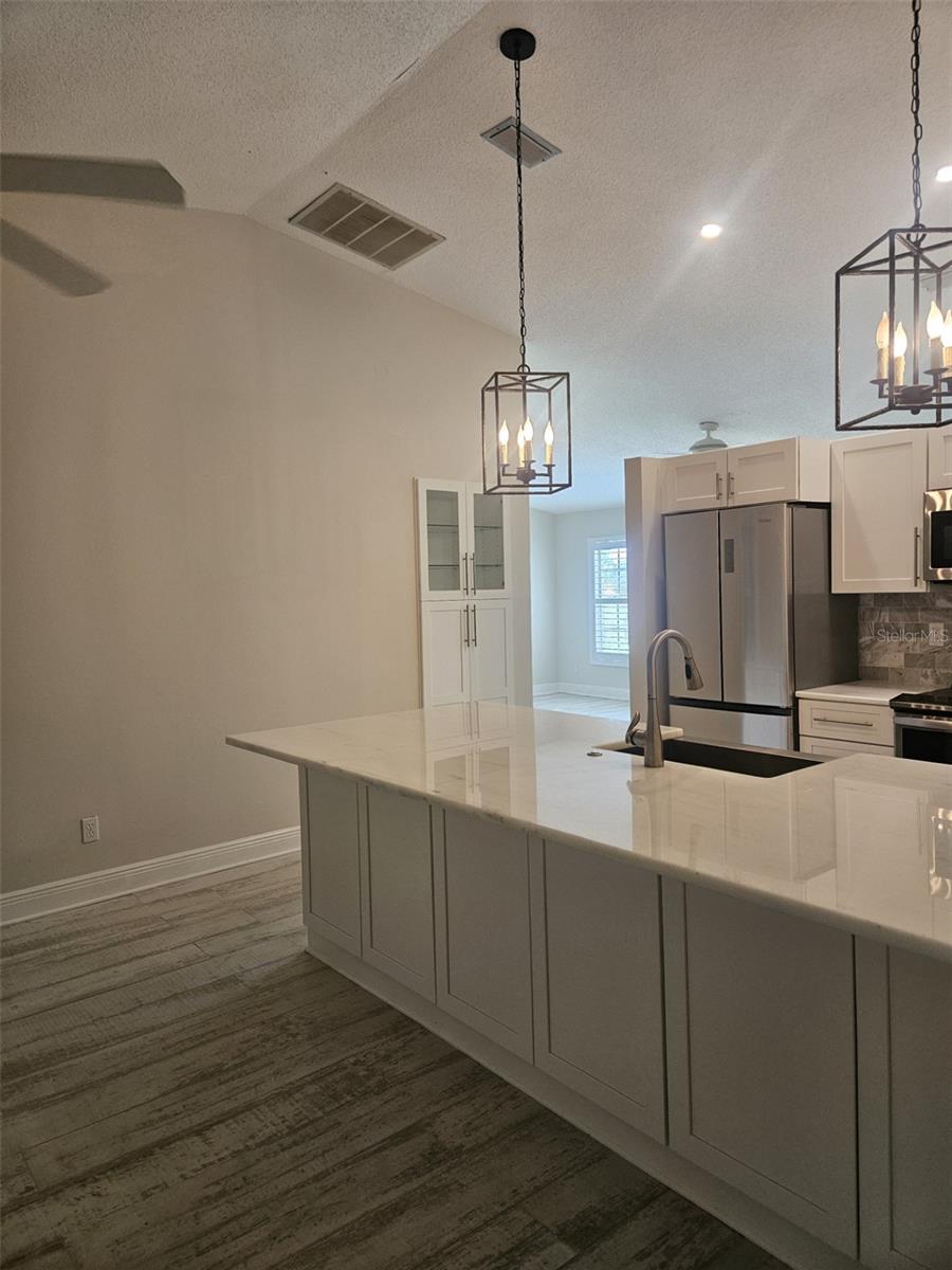 1481 HEATHER RIDGE BLVD, DUNEDIN, FL, 34698