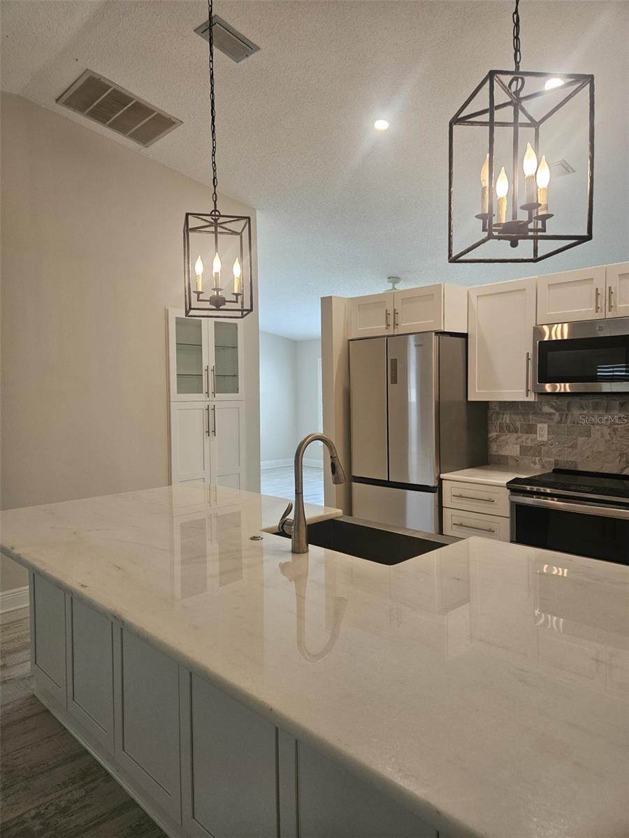 1481 HEATHER RIDGE BLVD, DUNEDIN, FL, 34698