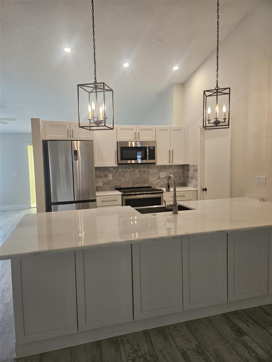 1481 HEATHER RIDGE BLVD, DUNEDIN, FL, 34698