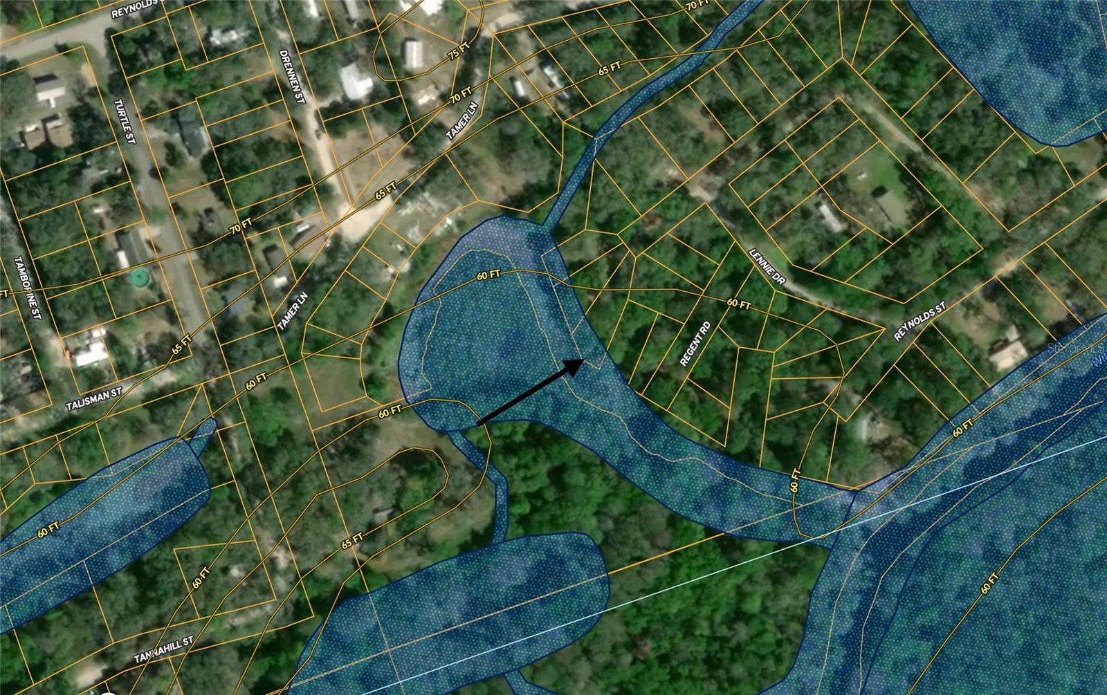 BARTH DR, DADE CITY, FL, 33523