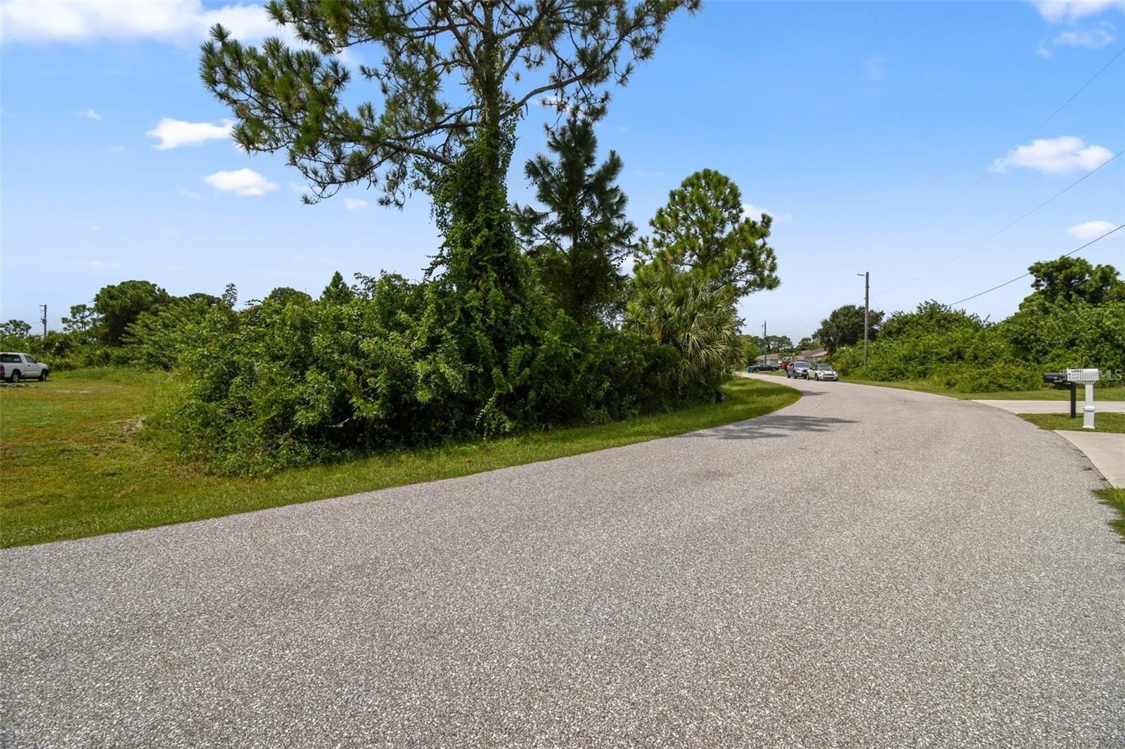 12447 BIRTLE AVE, PORT CHARLOTTE, FL, 33981