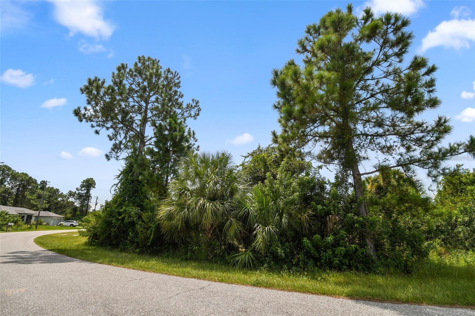 12447 BIRTLE AVE, PORT CHARLOTTE, FL, 33981