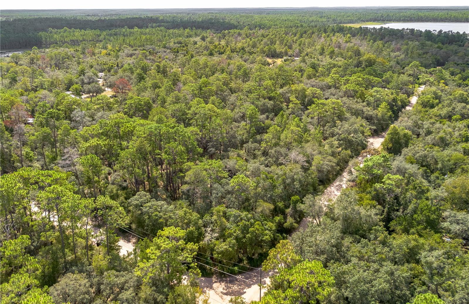 0 SOUTHEAST 92ND PL, OCKLAWAHA, FL, 32179