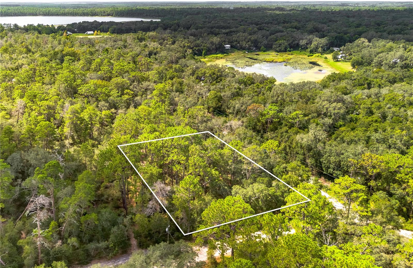0 SOUTHEAST 92ND PL, OCKLAWAHA, FL, 32179