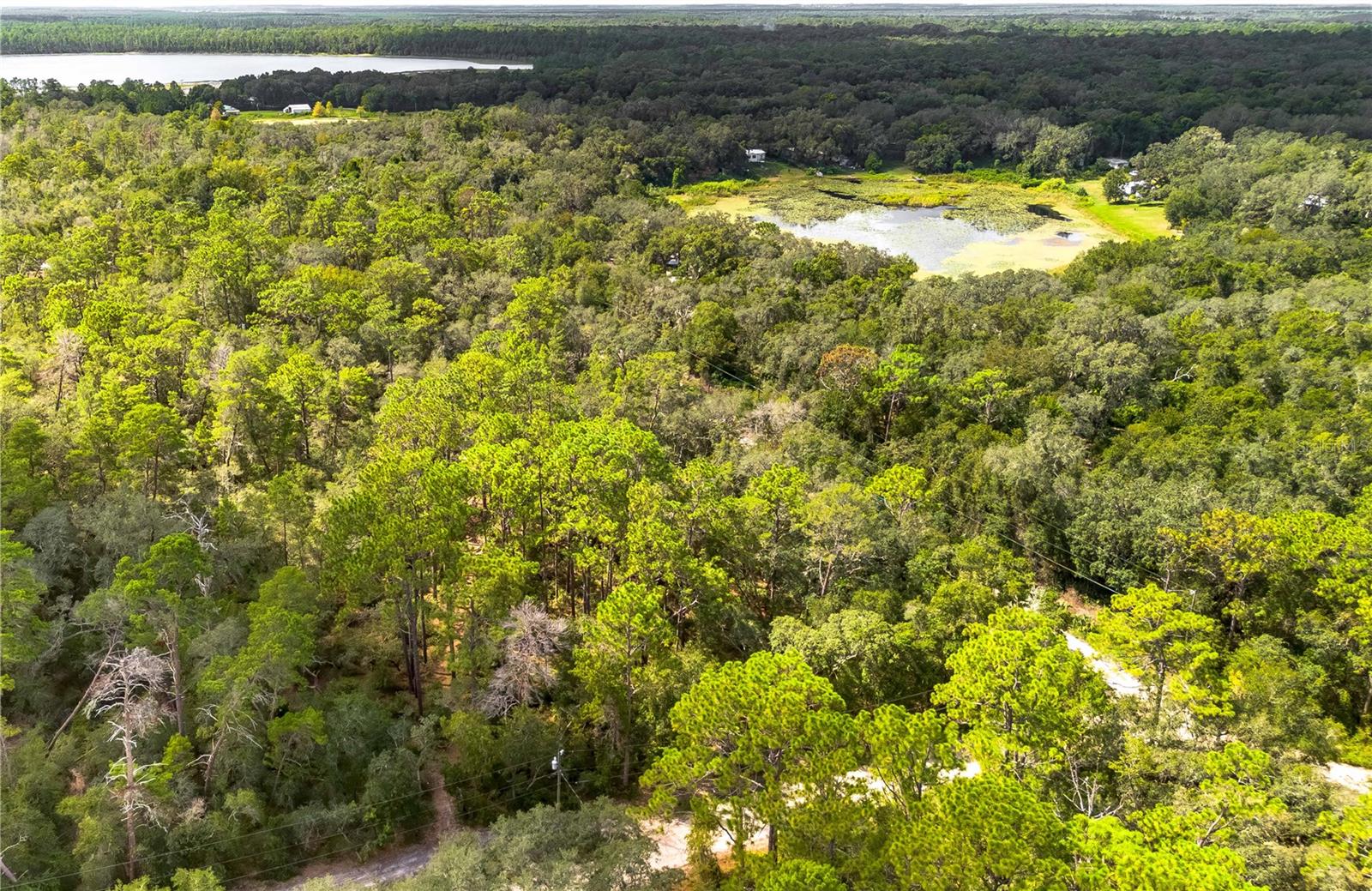 0 SOUTHEAST 92ND PL, OCKLAWAHA, FL, 32179