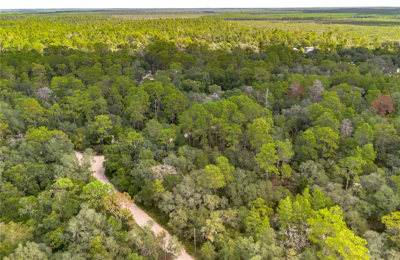 0 SOUTHEAST 92ND PL, OCKLAWAHA, FL, 32179