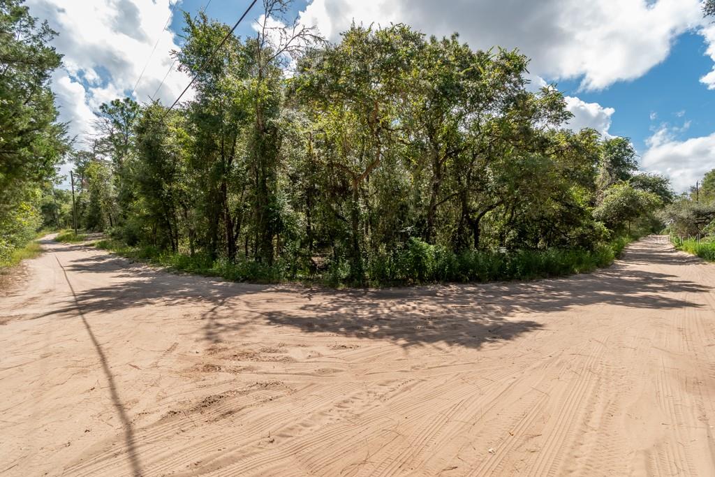 0 SOUTHEAST 92ND PL, OCKLAWAHA, FL, 32179