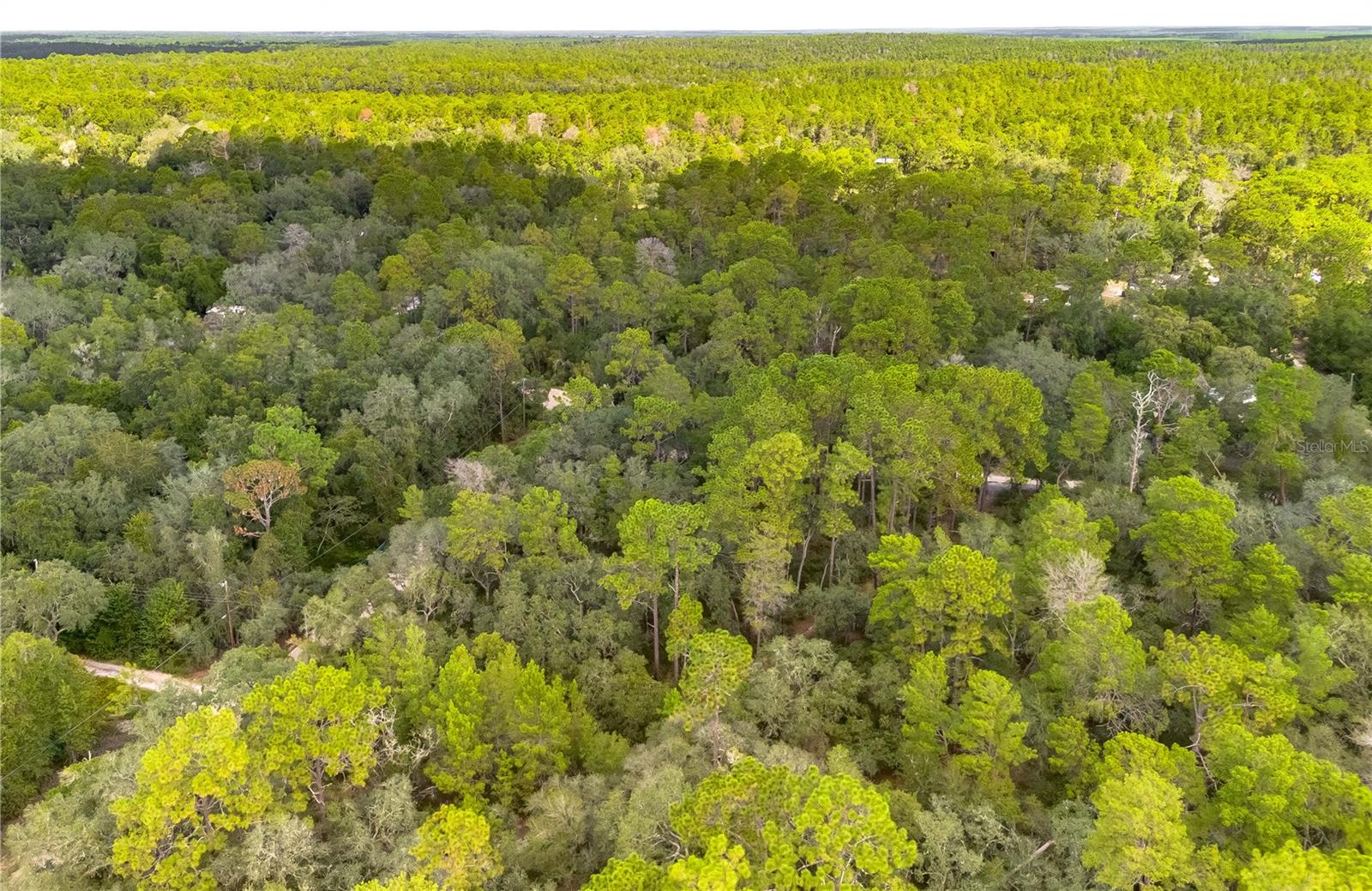 0 SOUTHEAST 92ND PL, OCKLAWAHA, FL, 32179