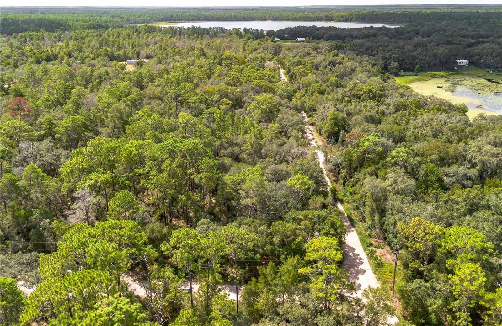 0 SOUTHEAST 92ND PL, OCKLAWAHA, FL, 32179