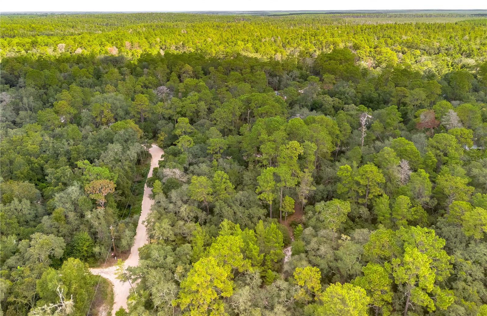 0 SOUTHEAST 92ND PL, OCKLAWAHA, FL, 32179