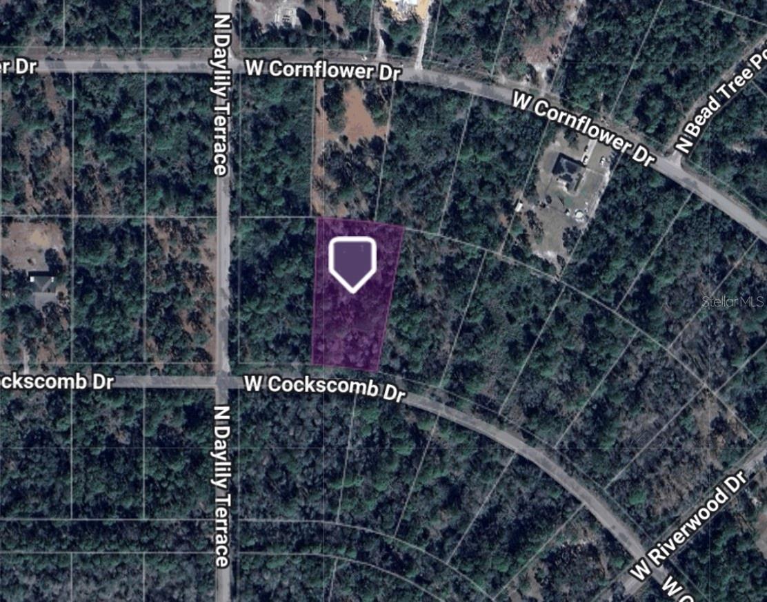 11543 W COCKSCOMB DR, CRYSTAL RIVER, FL, 34428