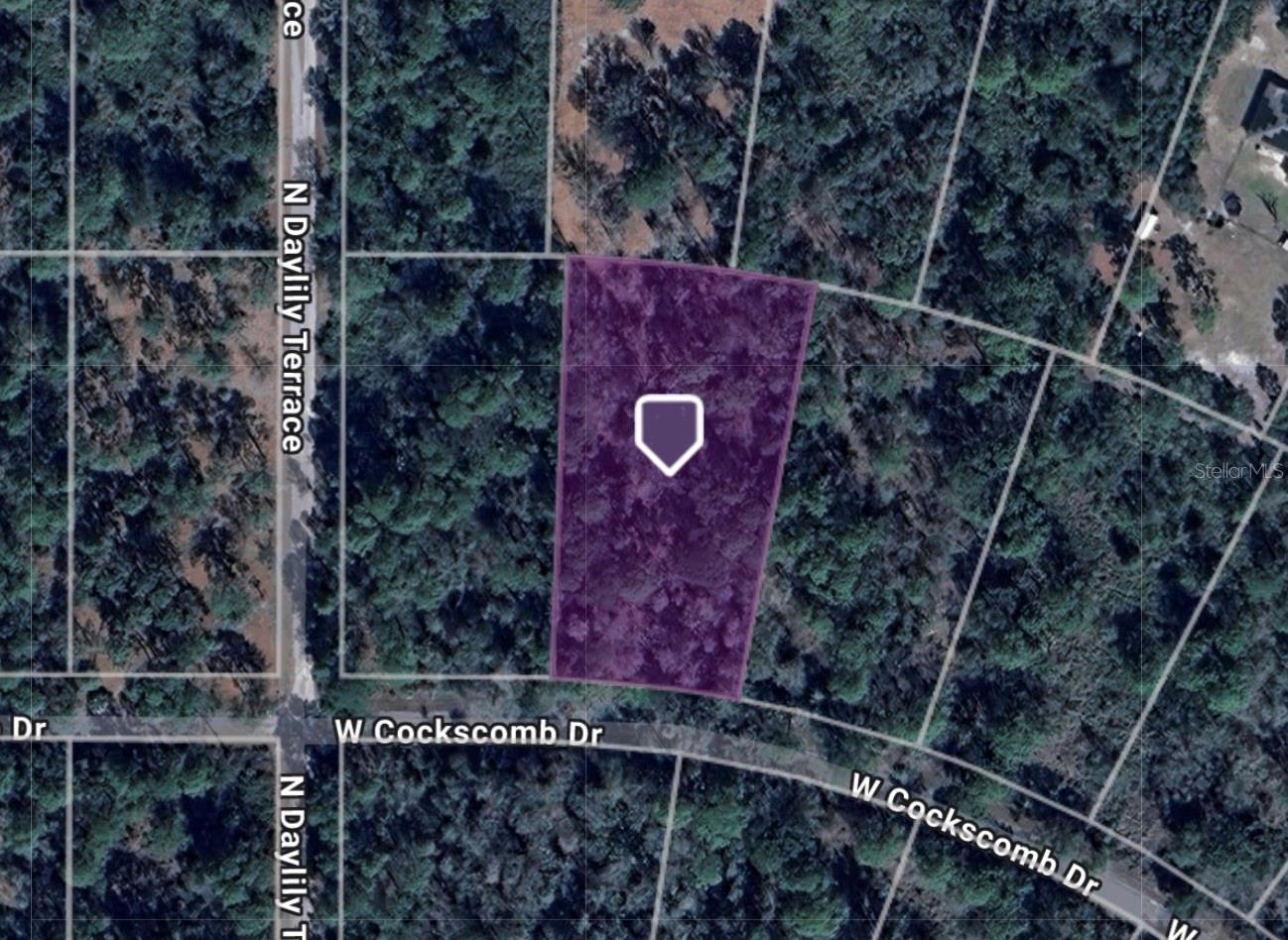 11543 W COCKSCOMB DR, CRYSTAL RIVER, FL, 34428