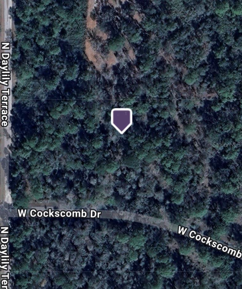 11543 W COCKSCOMB DR, CRYSTAL RIVER, FL, 34428