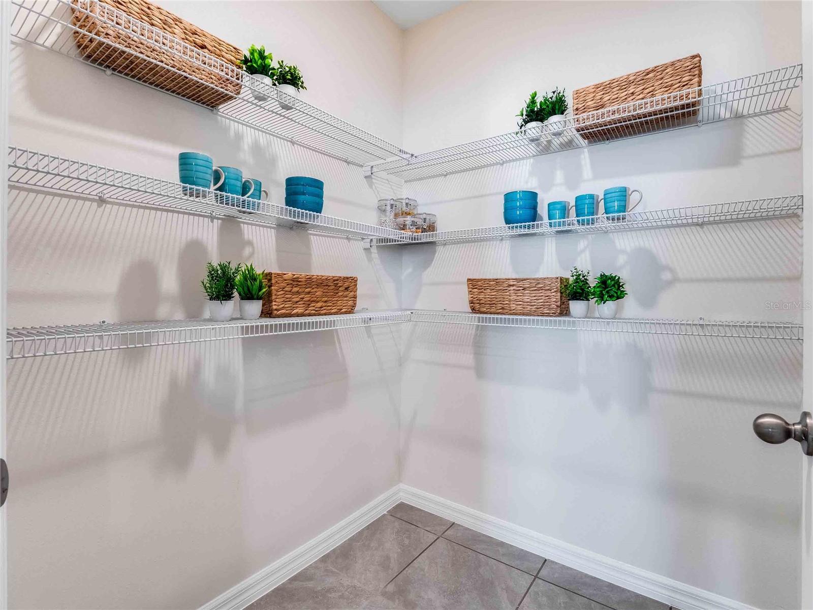 2941 HOUSE FINCH, ST CLOUD, FL, 34773