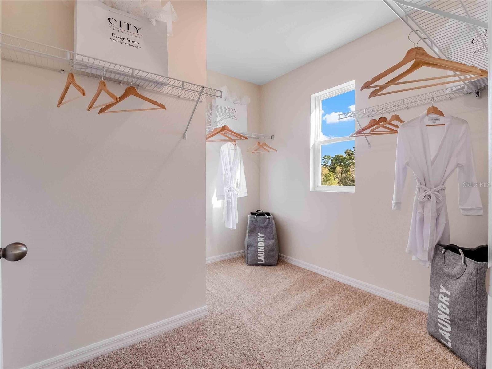 2941 HOUSE FINCH, ST CLOUD, FL, 34773