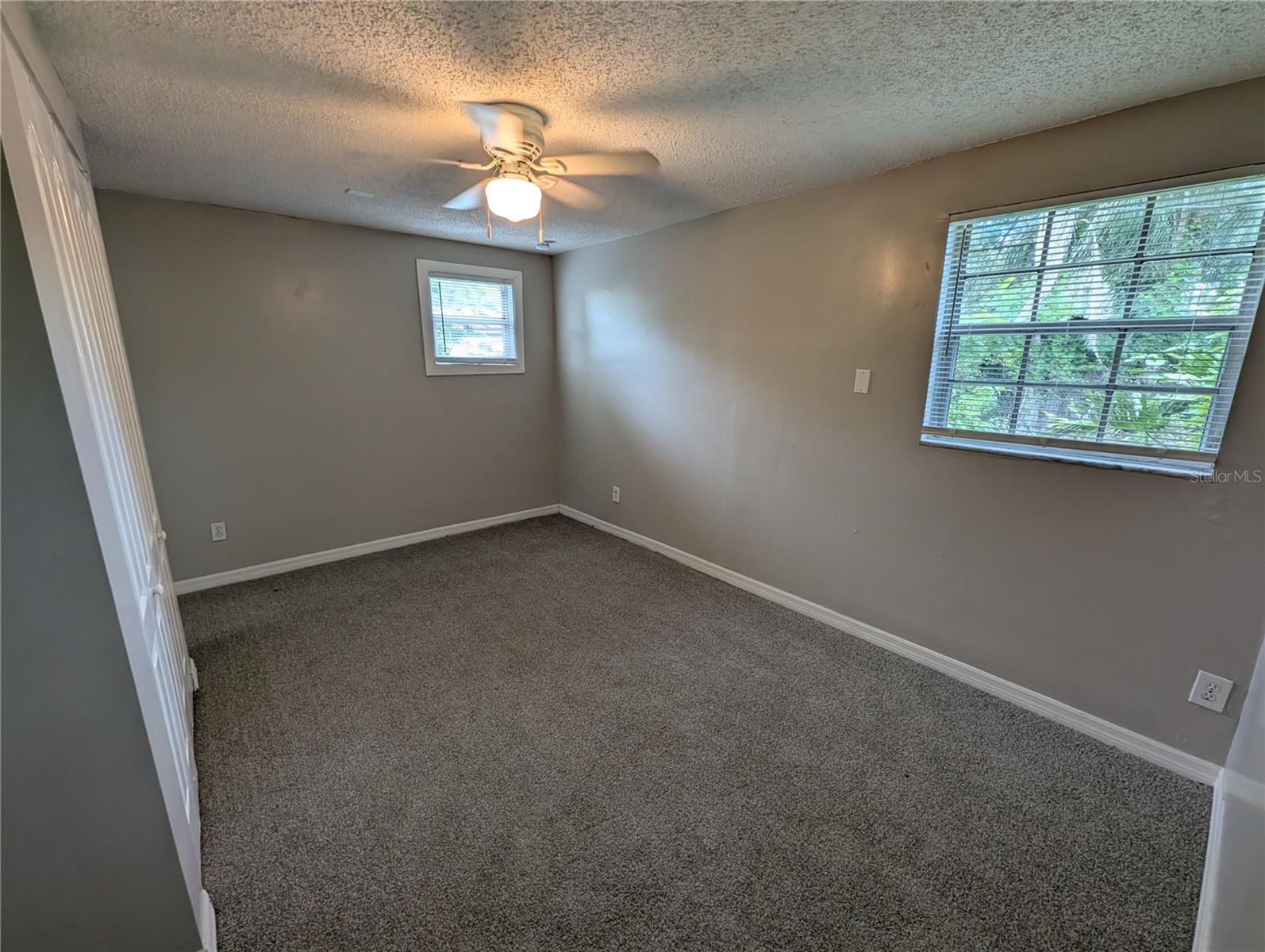 8013 BEECHWOOD PL, TAMPA, FL, 33619