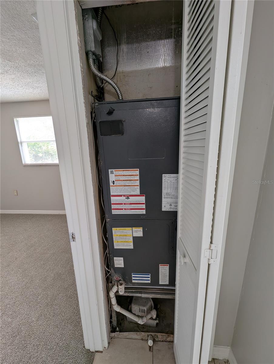 8013 BEECHWOOD PL, TAMPA, FL, 33619